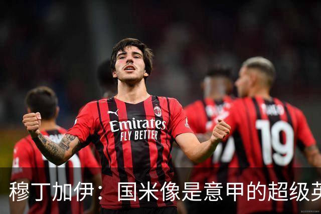 穆丁加伊：国米像是意甲的超级英雄，短板几乎看不见